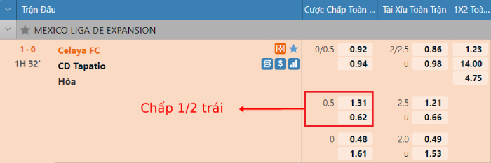 cách đọc kèo châu á