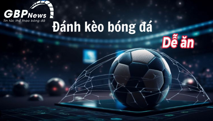 Những loại kèo bóng đá dễ ăn nếu có kiến thức