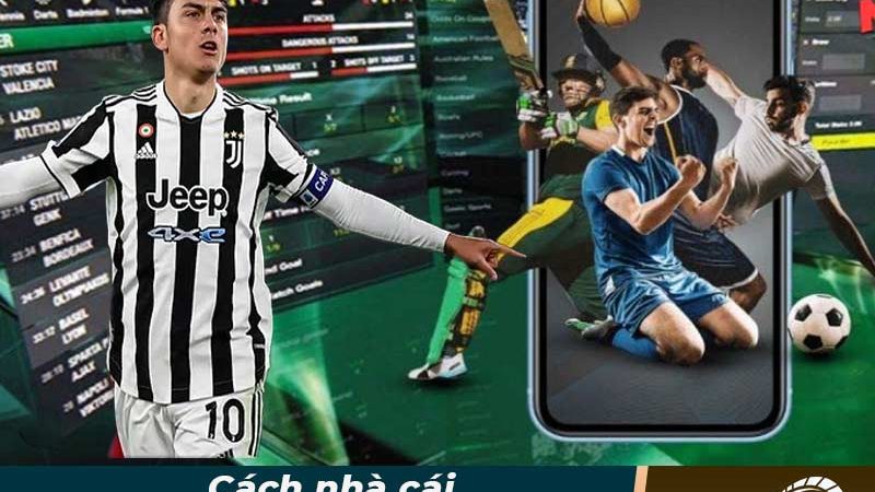 Cách nhà cái ra kèo bóng đá – Làm sao để tránh kèo bịp