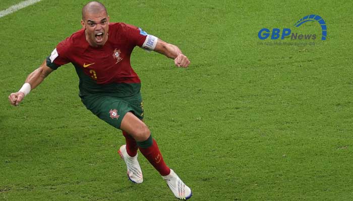Pepe gã đồ tể trong đội hình Bồ Đào Nha 2016