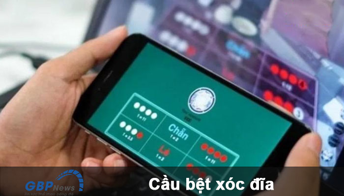 Theo cầu bệt xóc đĩa có thể mang lại lợi nhuận không tưởng