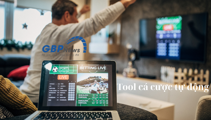 Rất nhiều cược thủ lao vào tool cá cược tự động